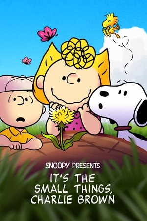 Its the Small Things, Charlie Brown (2022)