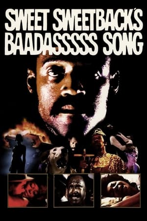 Sweet Sweetbacks Baadasssss Song (1971)