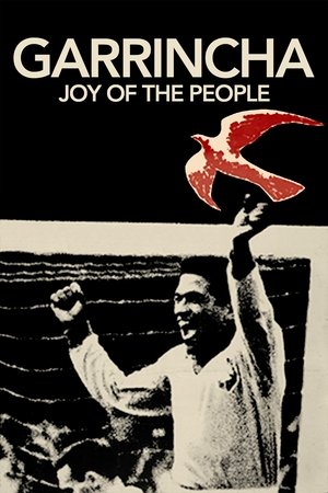 Garrincha: Hero of the Jungle (1963)