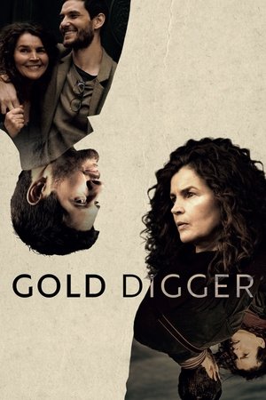 Gold Digger (2019 ) Poster