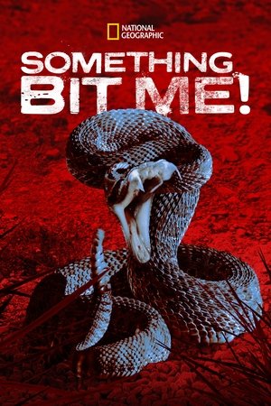 Something Bit Me (2022-) Poster