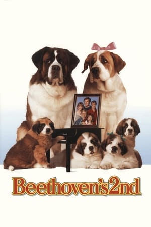Beethoven 2nd