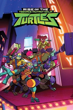 Rise of the Teenage Mutant Ninja Turtles (2018 )