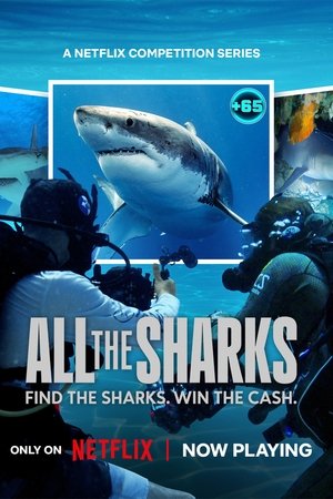 All the Sharks (2025-)