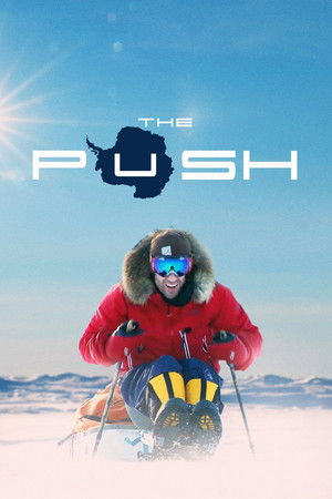 The PUSH: Owning your reality is where the journey begins (2018)