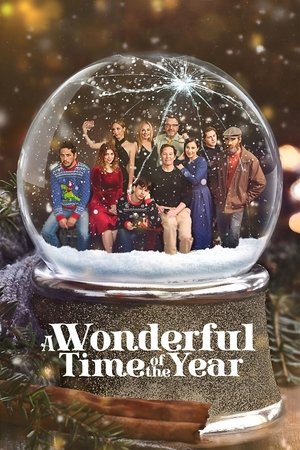A Wonderful Time of the Year (2022)