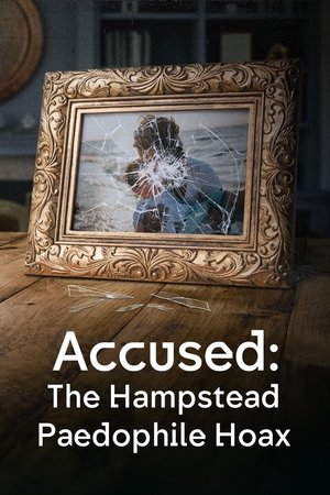 Accused: the Hampstead Paedophile Hoax (2024)