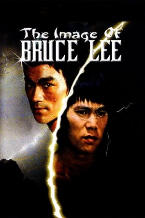 Image of Bruce Lee (1978)