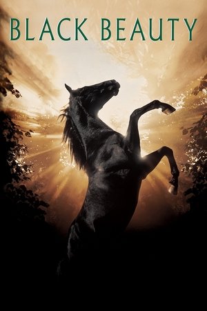 Black Beauty (1994) Poster