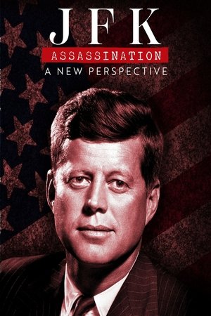 JFK Assassination A New Perspective (2025)