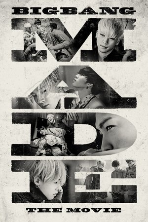 Big Bang Made the Movie (2016)