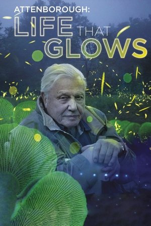Attenboroughs Life That Glows (2016)