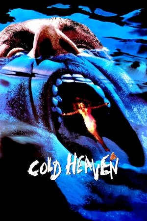 Cold Heaven (1991)