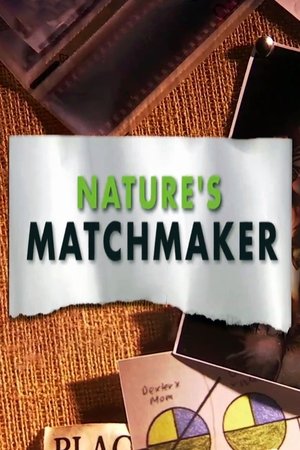 Natures Matchmaker (2011)