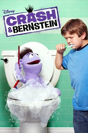 Crash Bernstein (2012-2014)