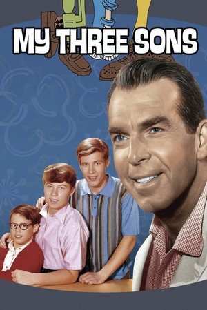 My Three Sons (1960-1972)