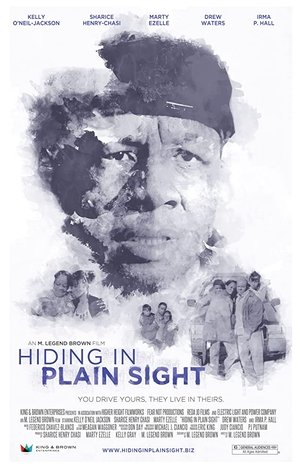 Hiding in Plain Sight (2012) Poster