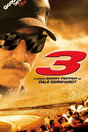 3 The Dale Earnhardt Story (2004)