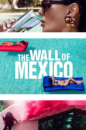 The Wall of Mexico (2019) Poster