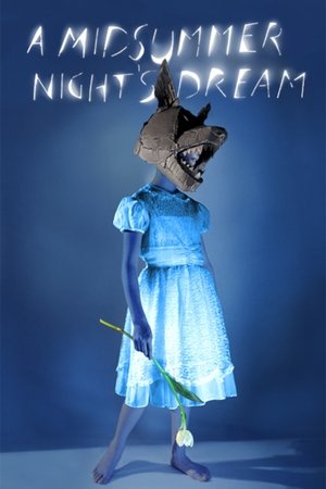 A Midsummer Nights Dream (2014) Poster