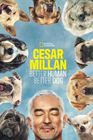 Cesar Millan Better Human Better Dog (2021-)
