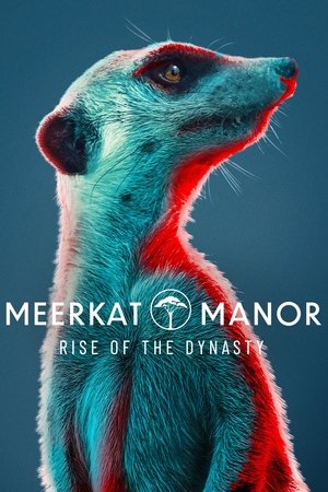 Meerkat Manor: Rise of the Dynasty (2021 )