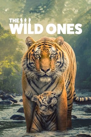 The Wild Ones (2025-)