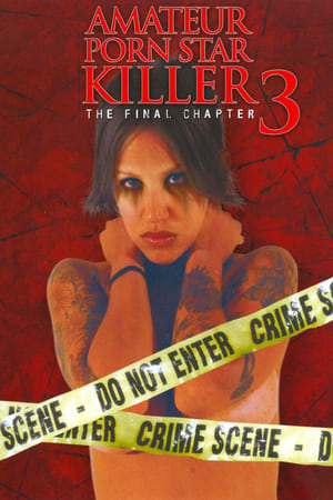 Amateur Porn Star Killer 3: The Final Chapter (2009) Poster