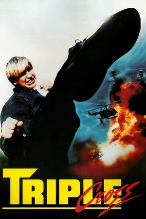 Angel of Fury (1992)