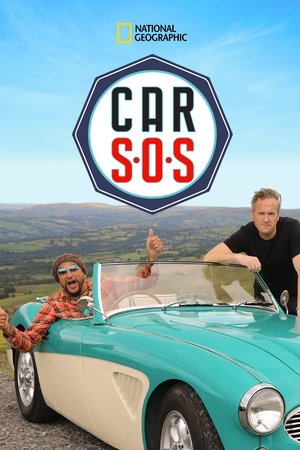 Car S.O.S. (2013 )