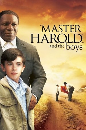 Master Harold ... And the Boys (2010)