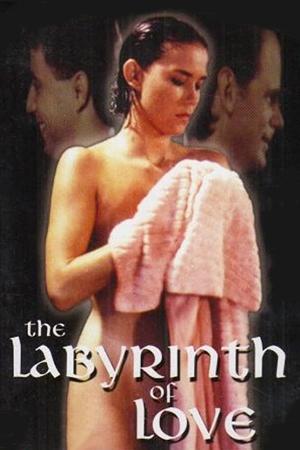 The Labyrinth of Love (1994) Poster