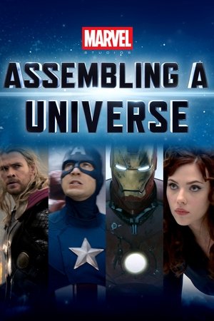 Marvel Studios Assembling a Universe (2014) Poster