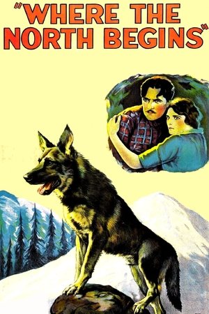 Where the North Begins (1923) Poster