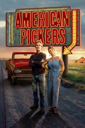 American Pickers (2010-)