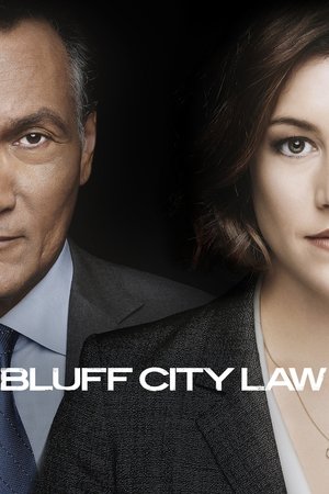 Bluff City Law (2019 ) Poster
