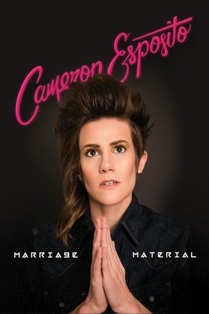 Cameron Esposito Marriage Material (2016) Poster