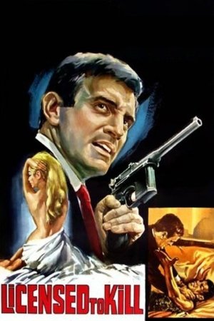 The 2nd Best Secret Agent in the Whole Wide World (1965)
