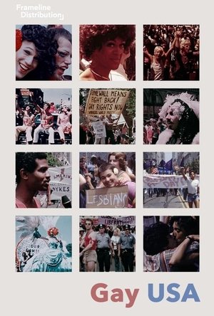Gay USA (1978)