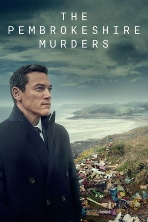 The Pembrokeshire Murders (2020 )