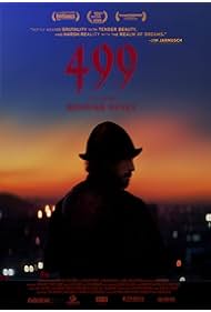 499 (2020)