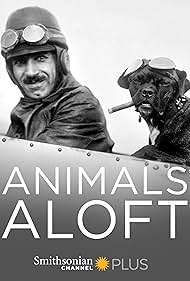 Animals Aloft (200