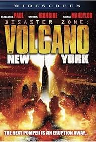 Disaster Zone: Vol