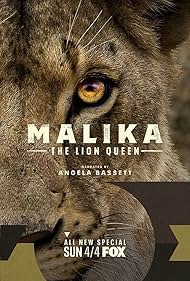 Malika the Lion Qu