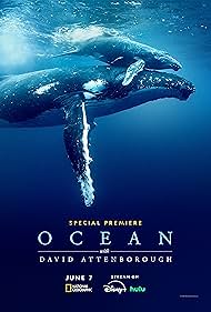 Ocean with David A