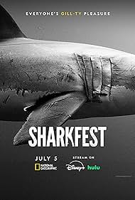 Sharks of the Nort
