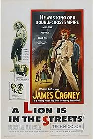 A Lion Is in the S