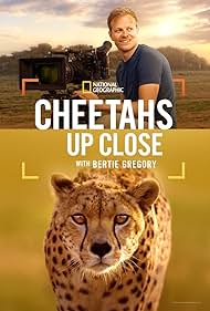 Cheetahs Up Close 