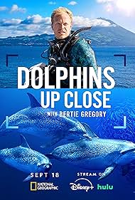 Dolphins Up Close 