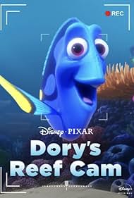 Dorys Reef Cam (20